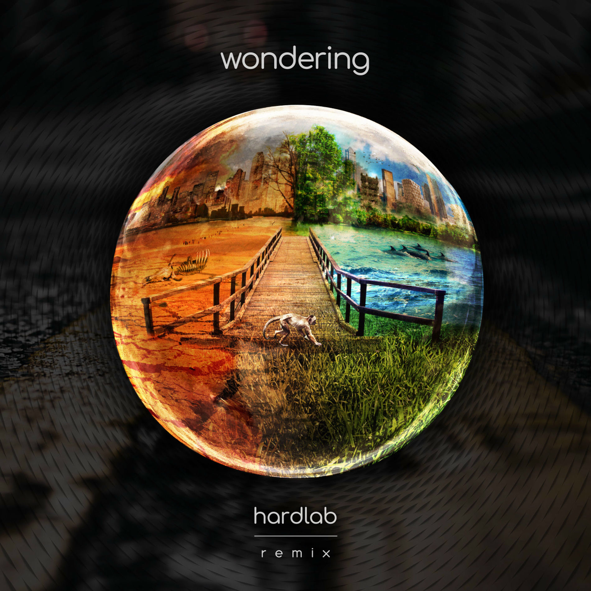 Album cover of Wondering (Remix)
