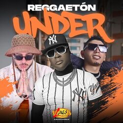Cover of Reggaeton Under