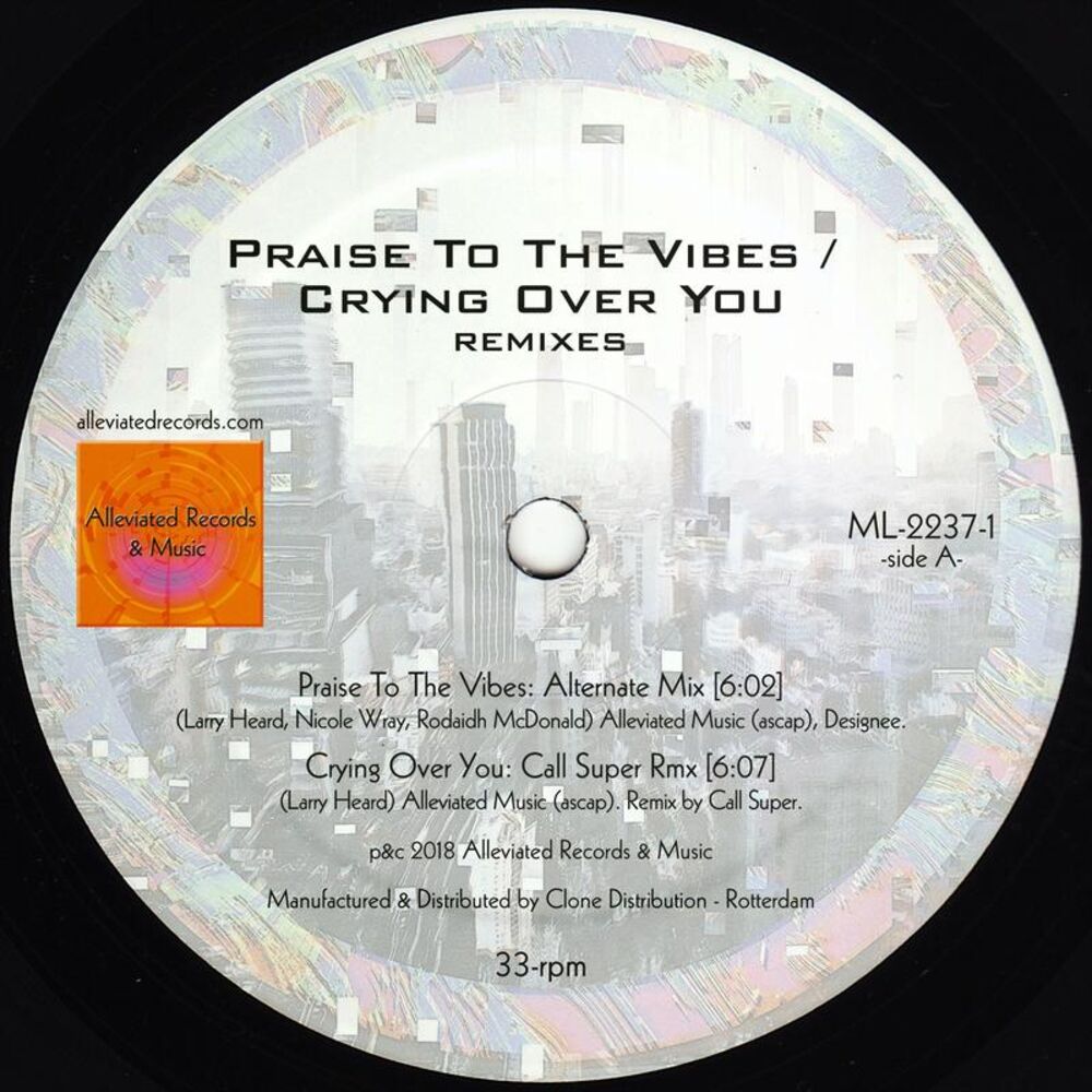 Picture of Praise to the Vibes / Crying Over You(Remixes)