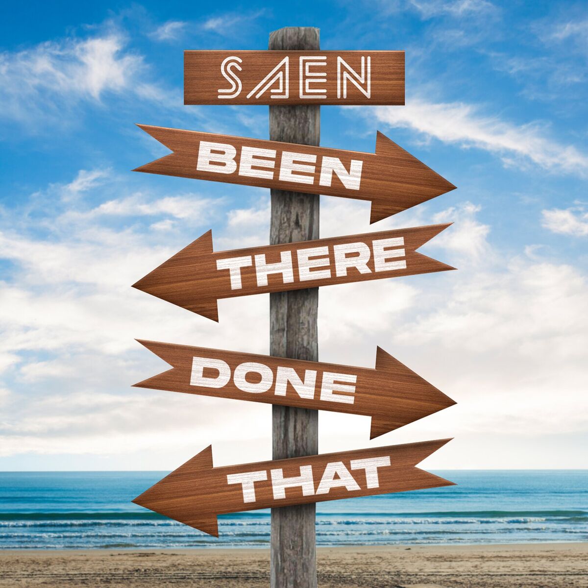Album cover of Been There Done That