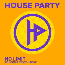 Cover of No Limit
