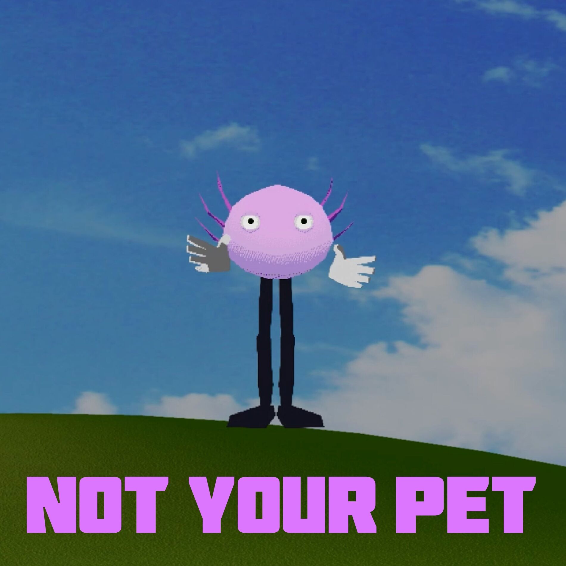 Album cover of Not Your Pet (KinitoPET)