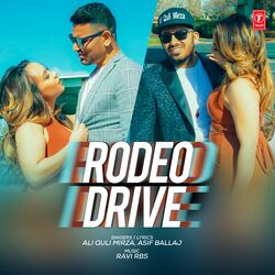 Cover of Rodeo Drive