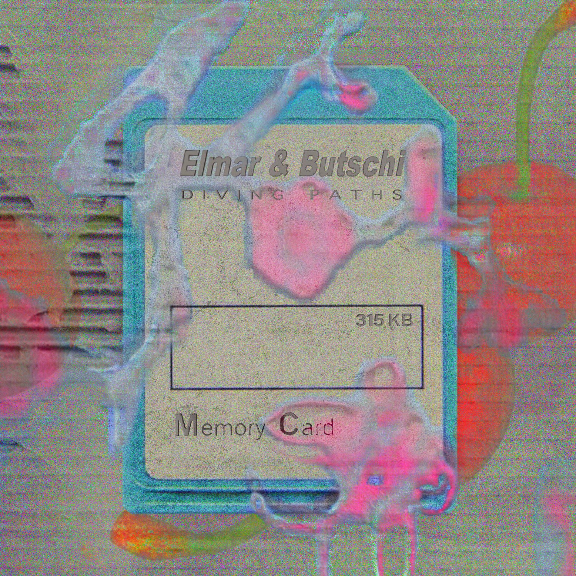 Album cover of Diving Paths (315 Memory Card)