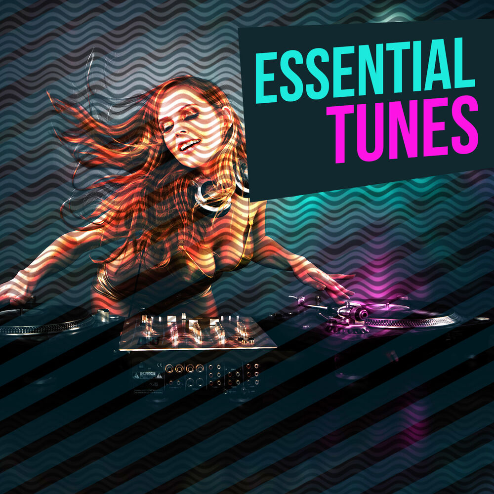 Picture of Essential Tunes