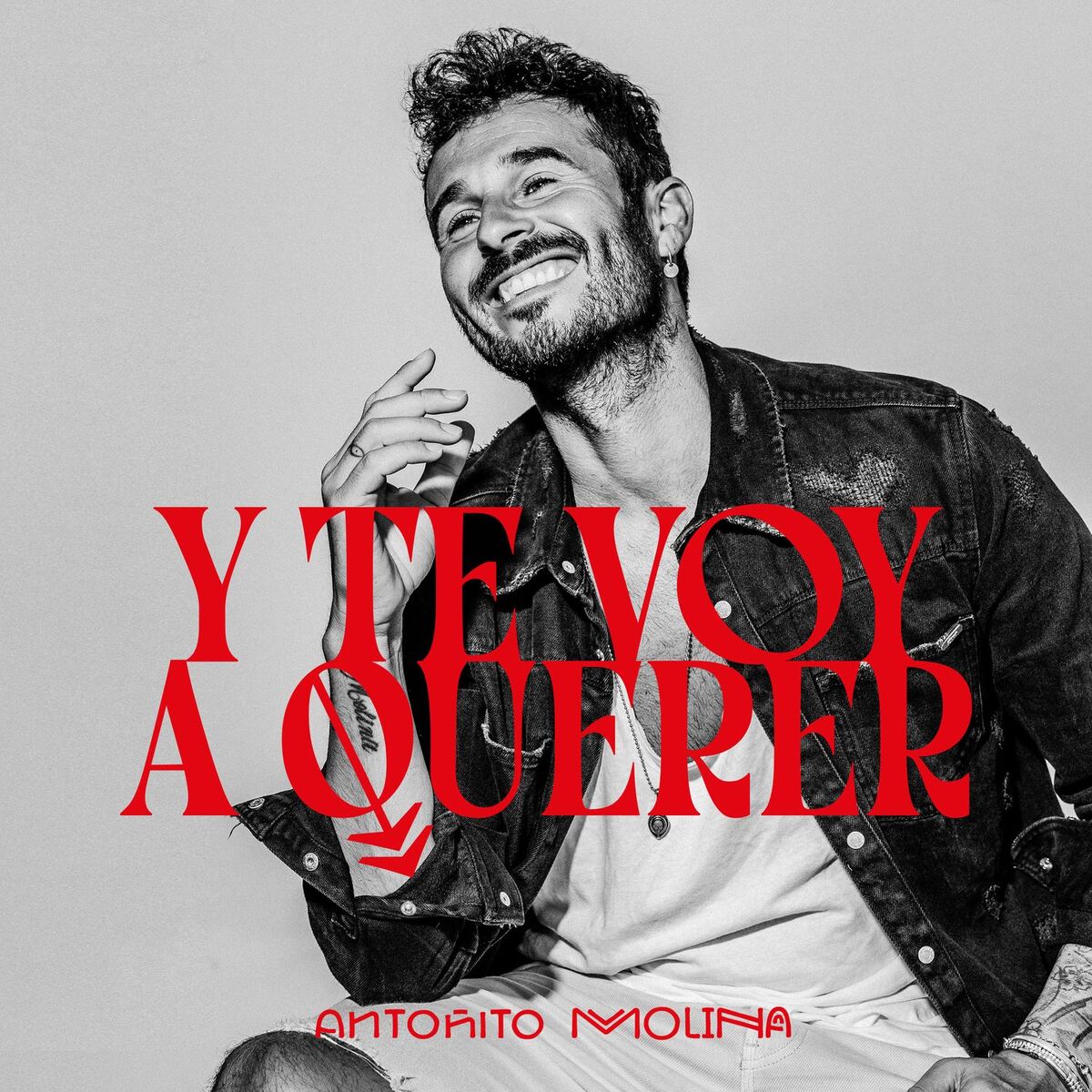 Album cover of Y te voy a querer