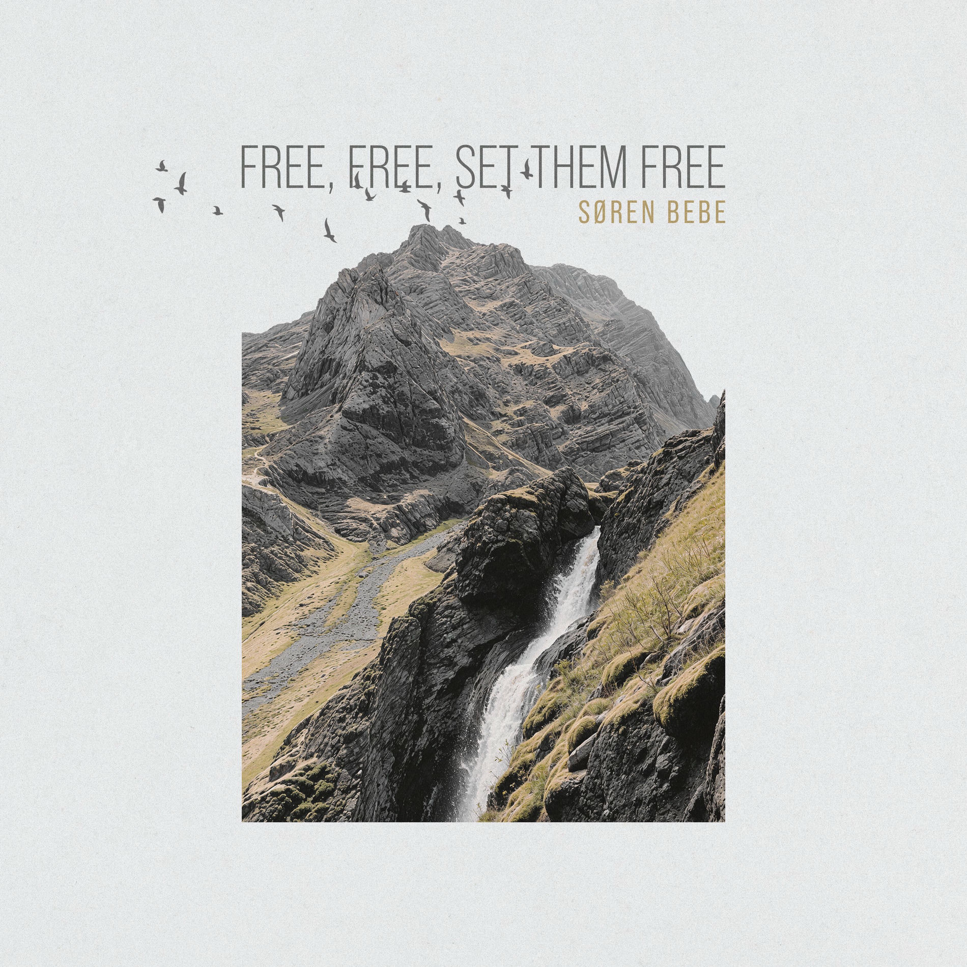 Album cover of Free, Free, Set Them Free