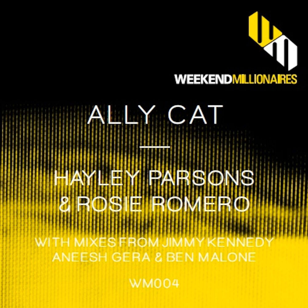 Picture of Ally Cat