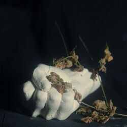 Cover of Violent God