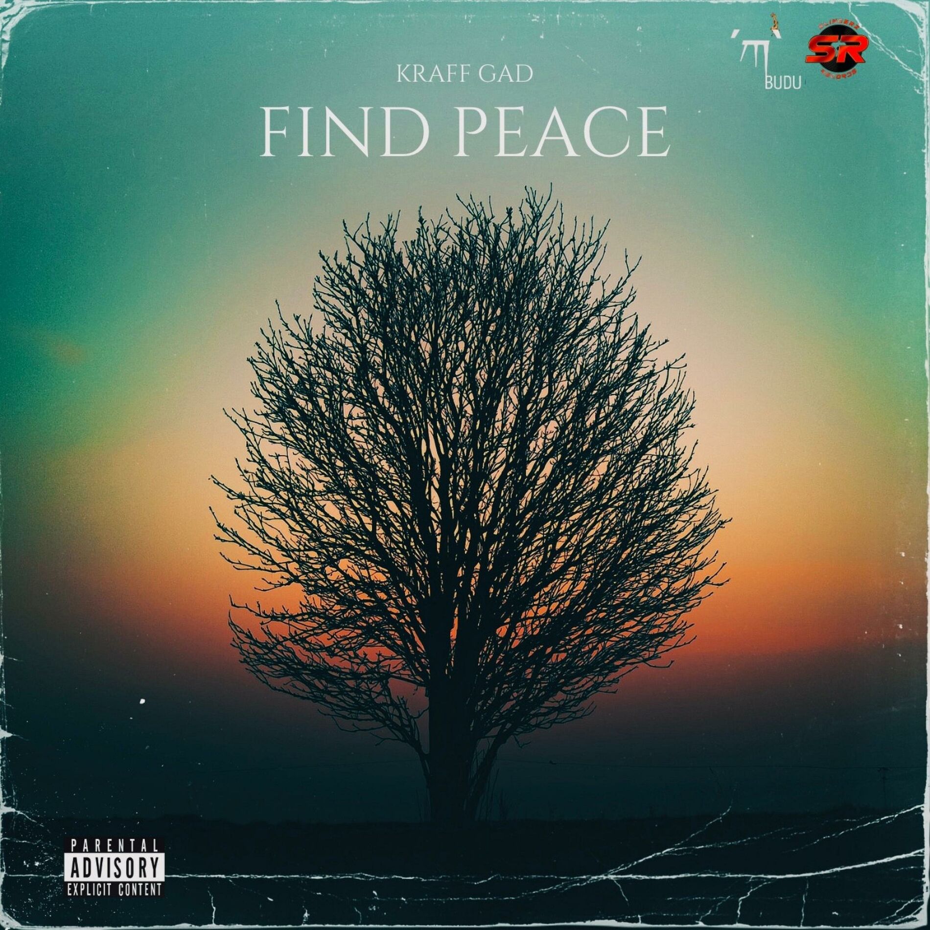 Album cover of FIND PEACE