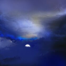 Cover of As The Night Draws In
