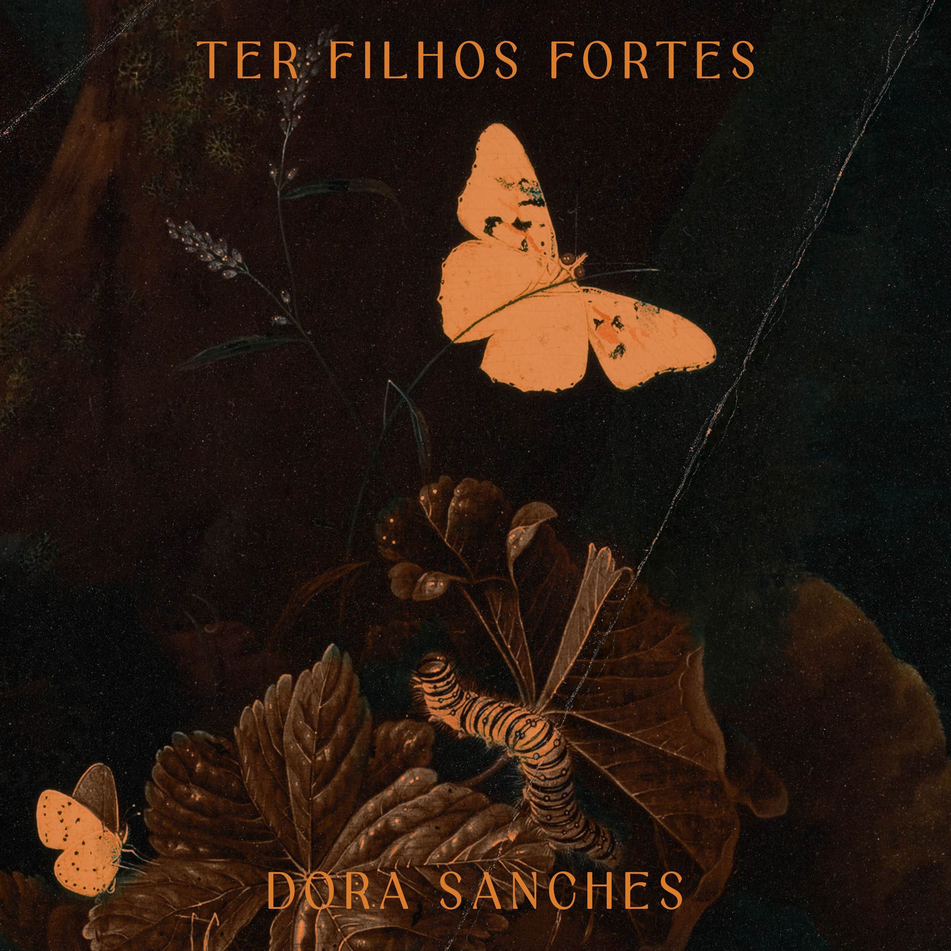 Album cover of Ter Filhos Fortes