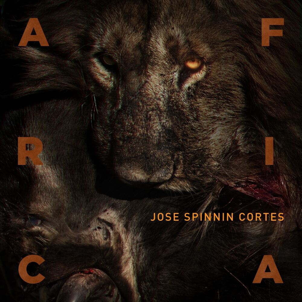 Picture of Africa