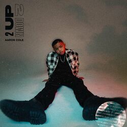 Cover of TWO UP TWO DOWN