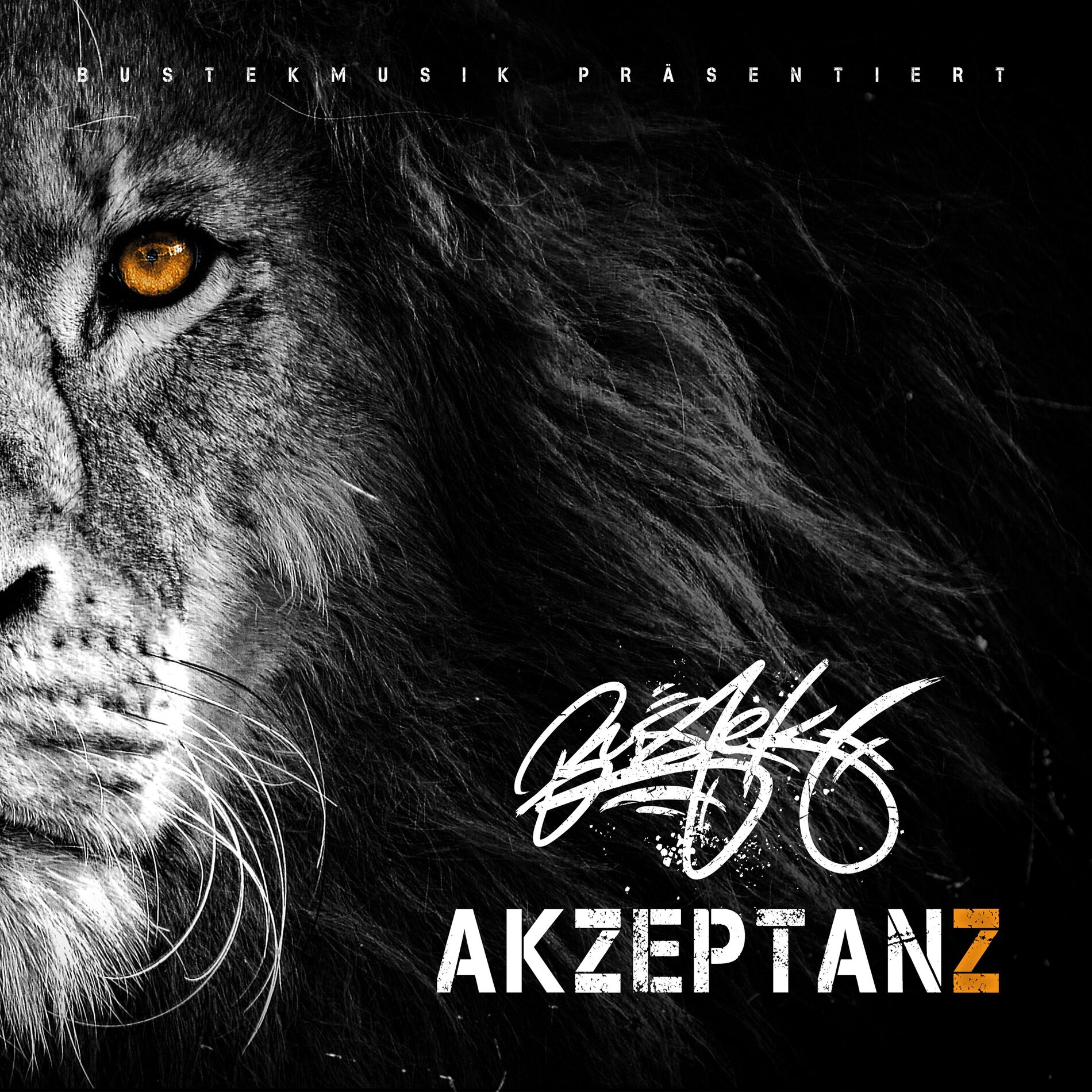 Album cover of Akzeptanz