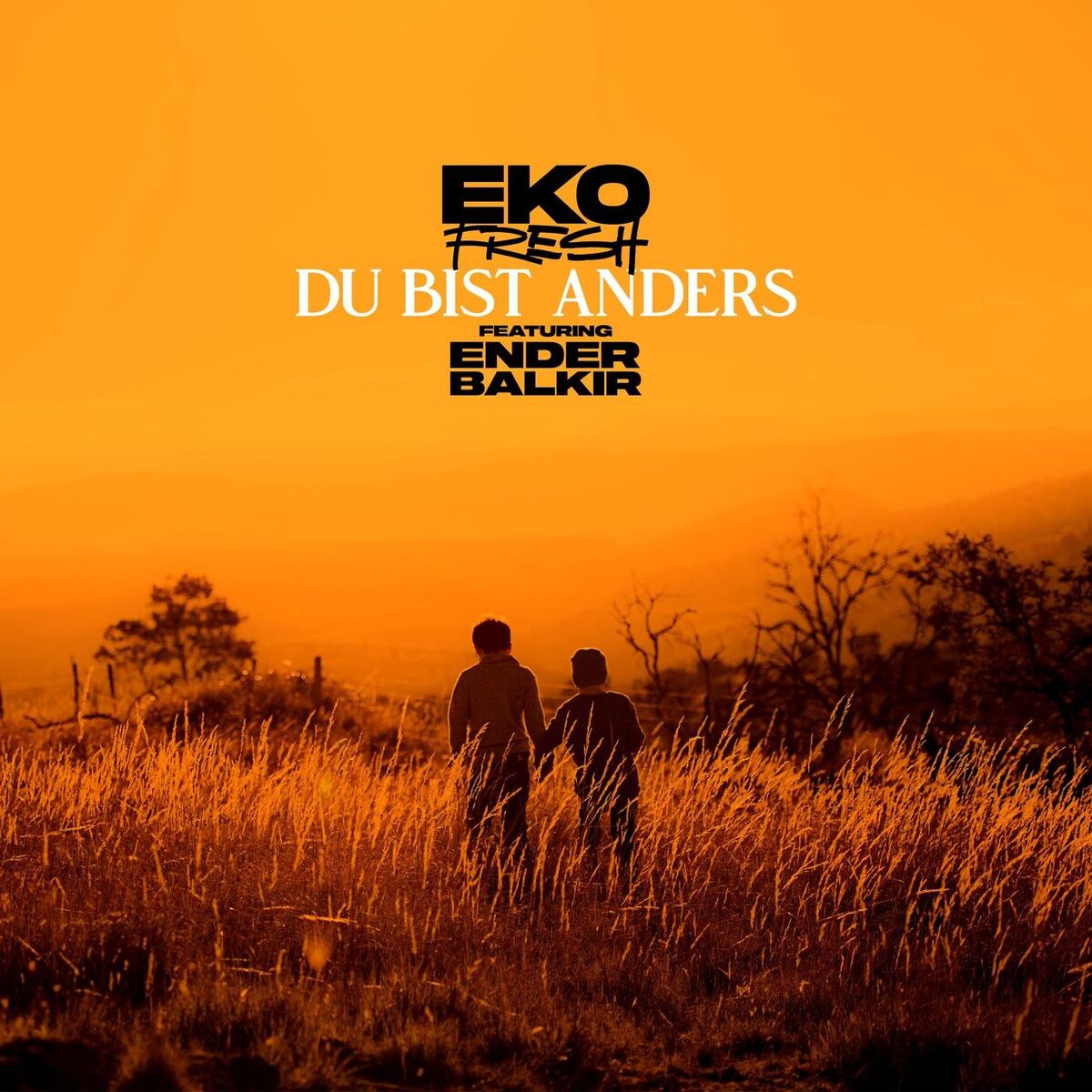 Album cover of Du bist anders (feat. Ender Balkir)
