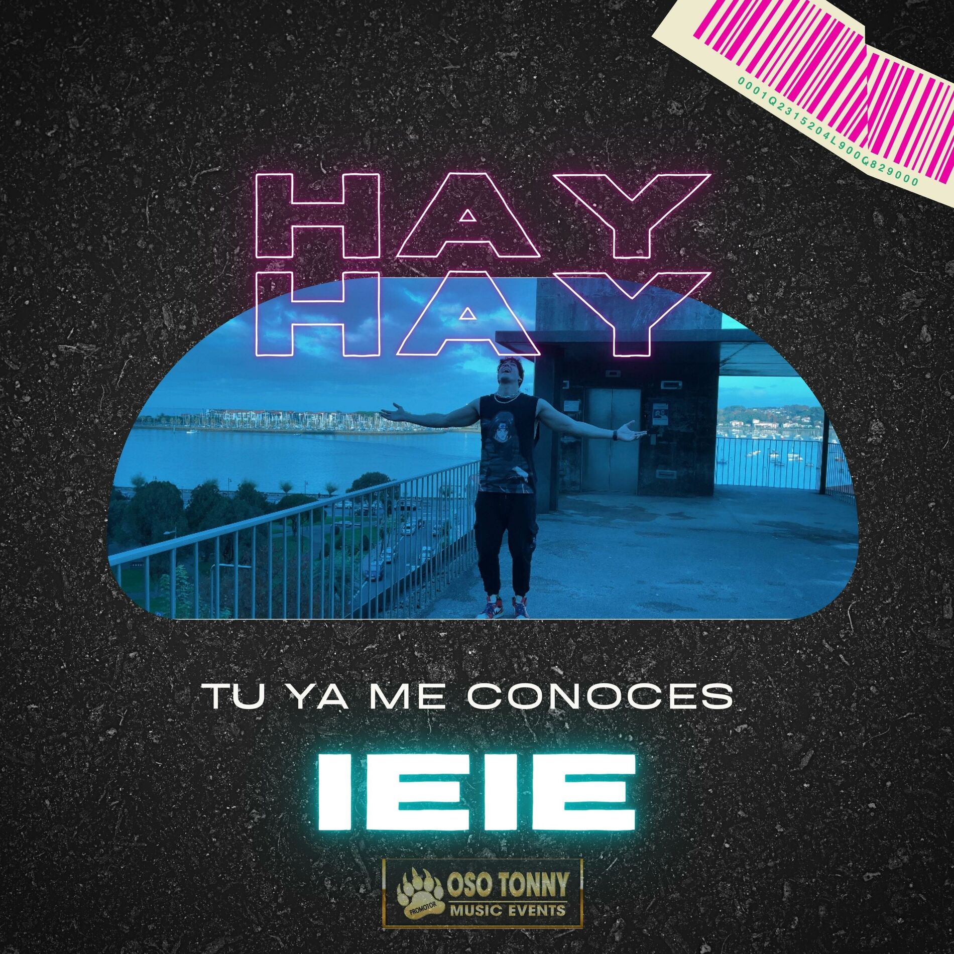 Album cover of hay hay