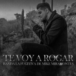 Cover of Te Voy a Rogar