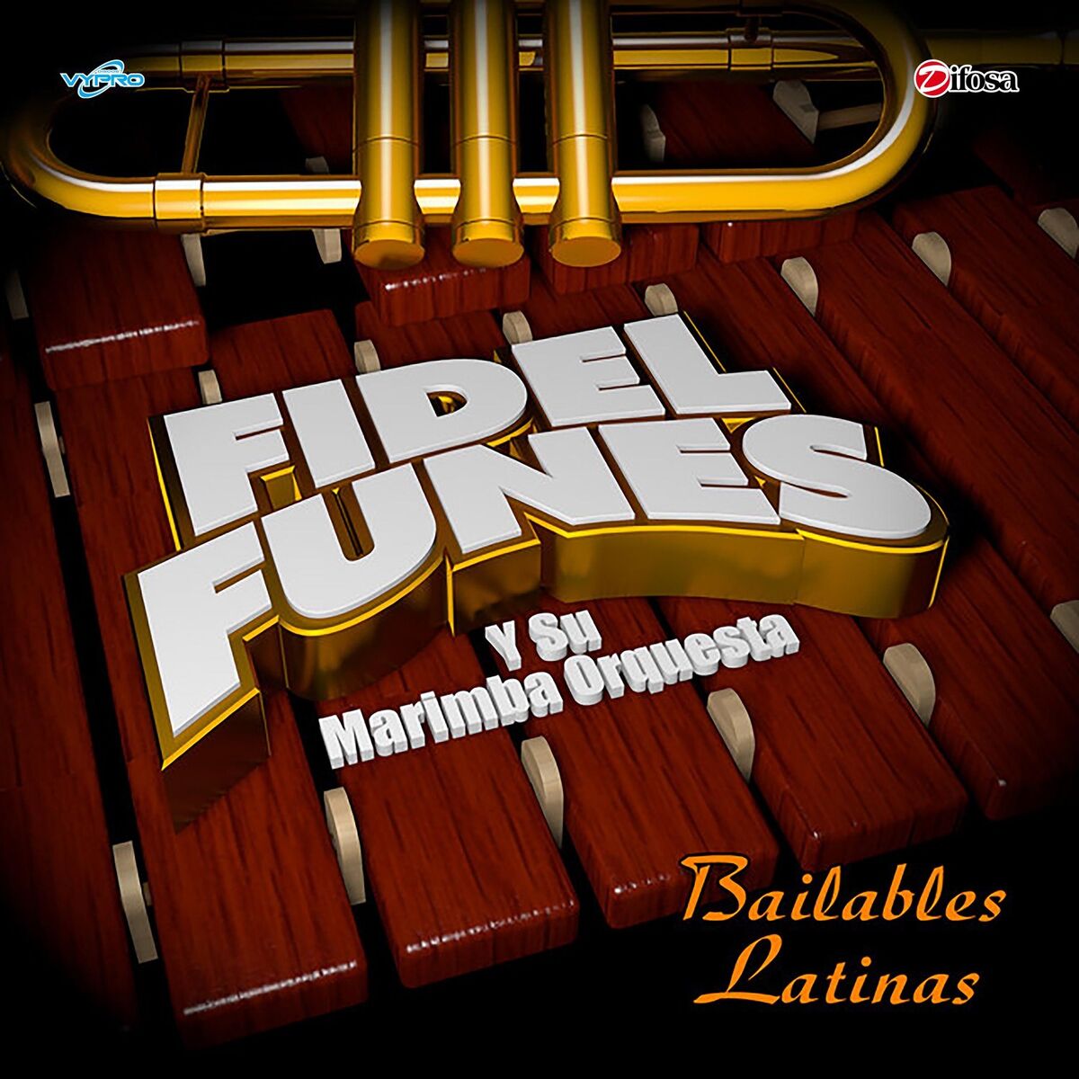 Album cover of Bailables Latinas