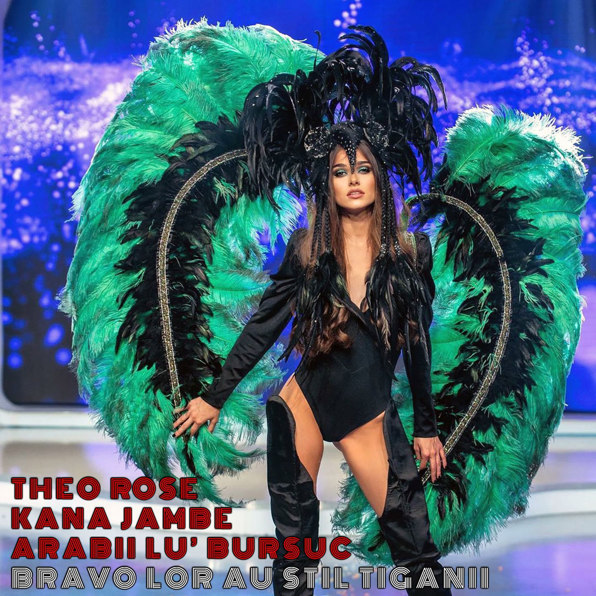 Album cover of Bravo Lor Au Stil Tiganii