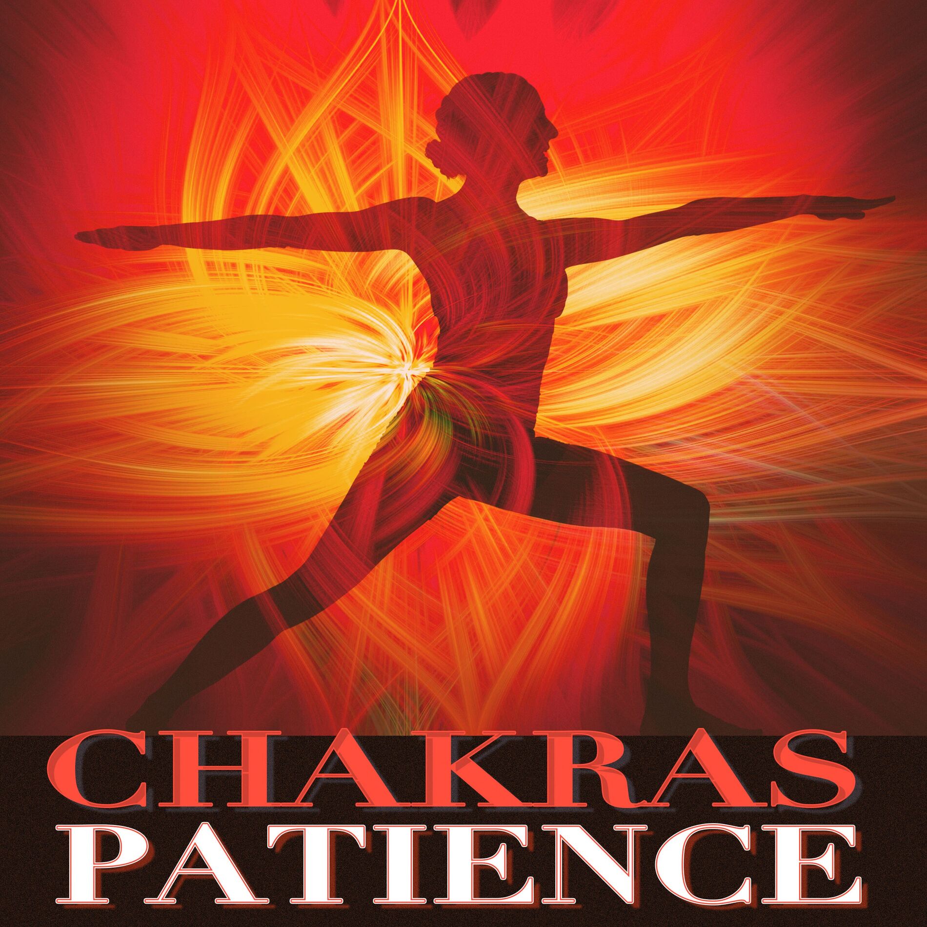 Album cover of Chakras Patience