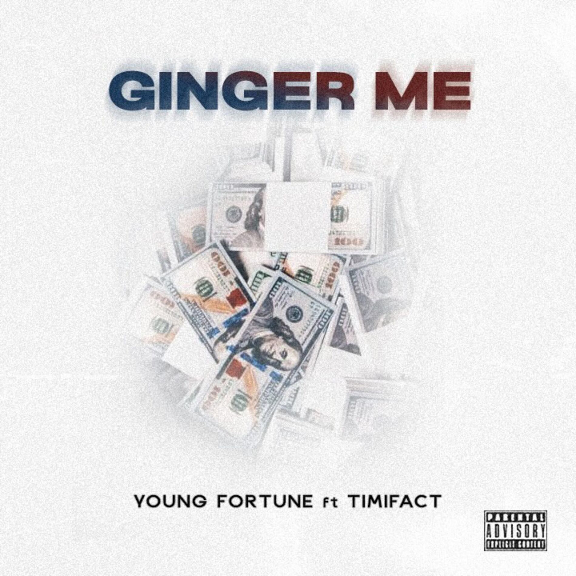 Album cover of Ginger Me (feat. Timifact)