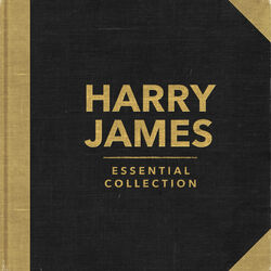 Cover of Essential Collection (Rerecorded)