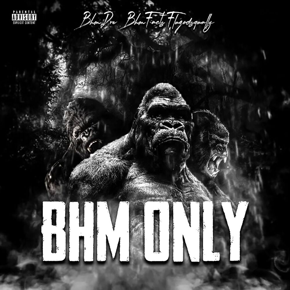 Picture of BHM Only