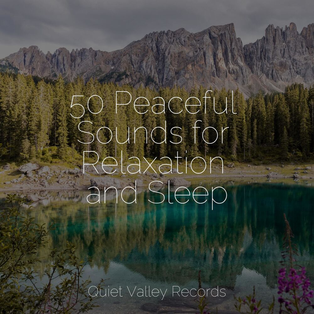 Picture of 50 Peaceful Sounds for Relaxation and Sleep