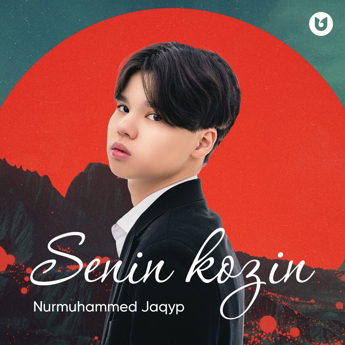 Album cover of Senin kozin
