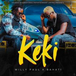 Cover of Keki