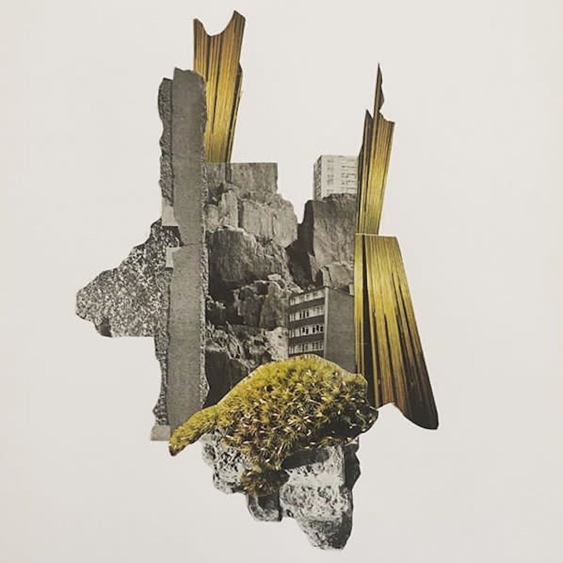 Album cover of Ne me réveillez pas