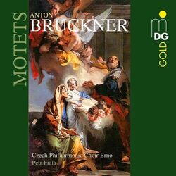 Cover of Bruckner: Motets