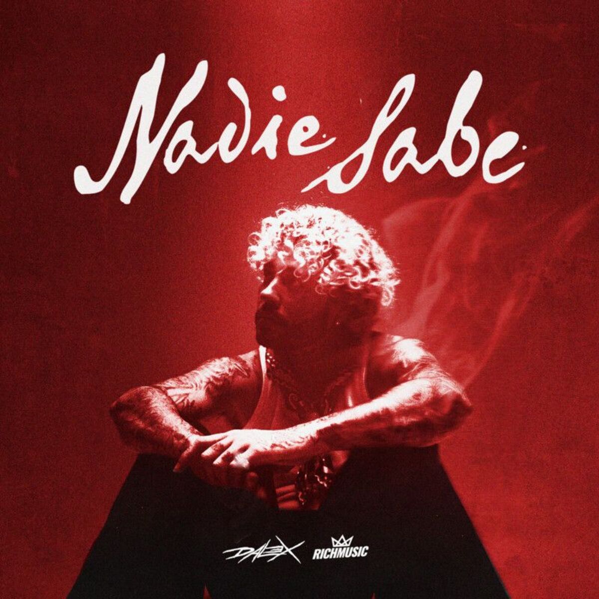 Album cover of Nadie Sabe