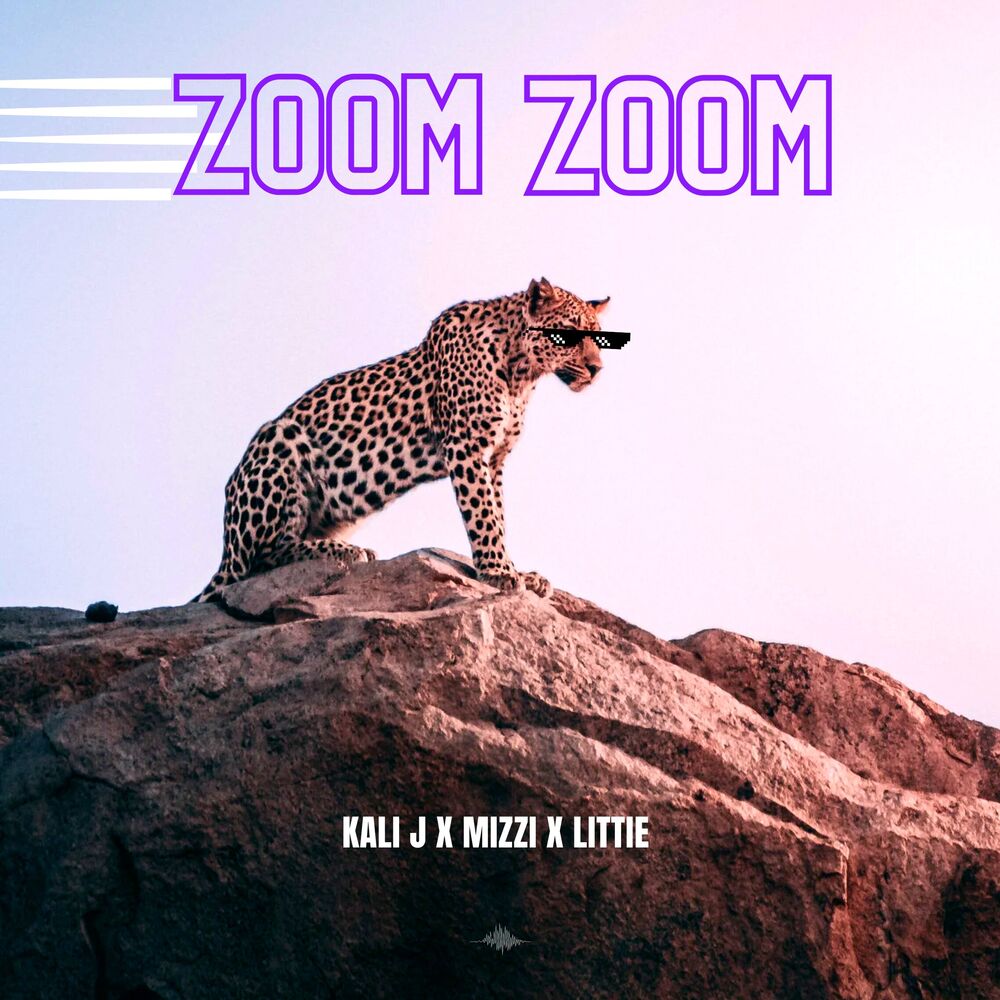 Picture of Zoom Zoom