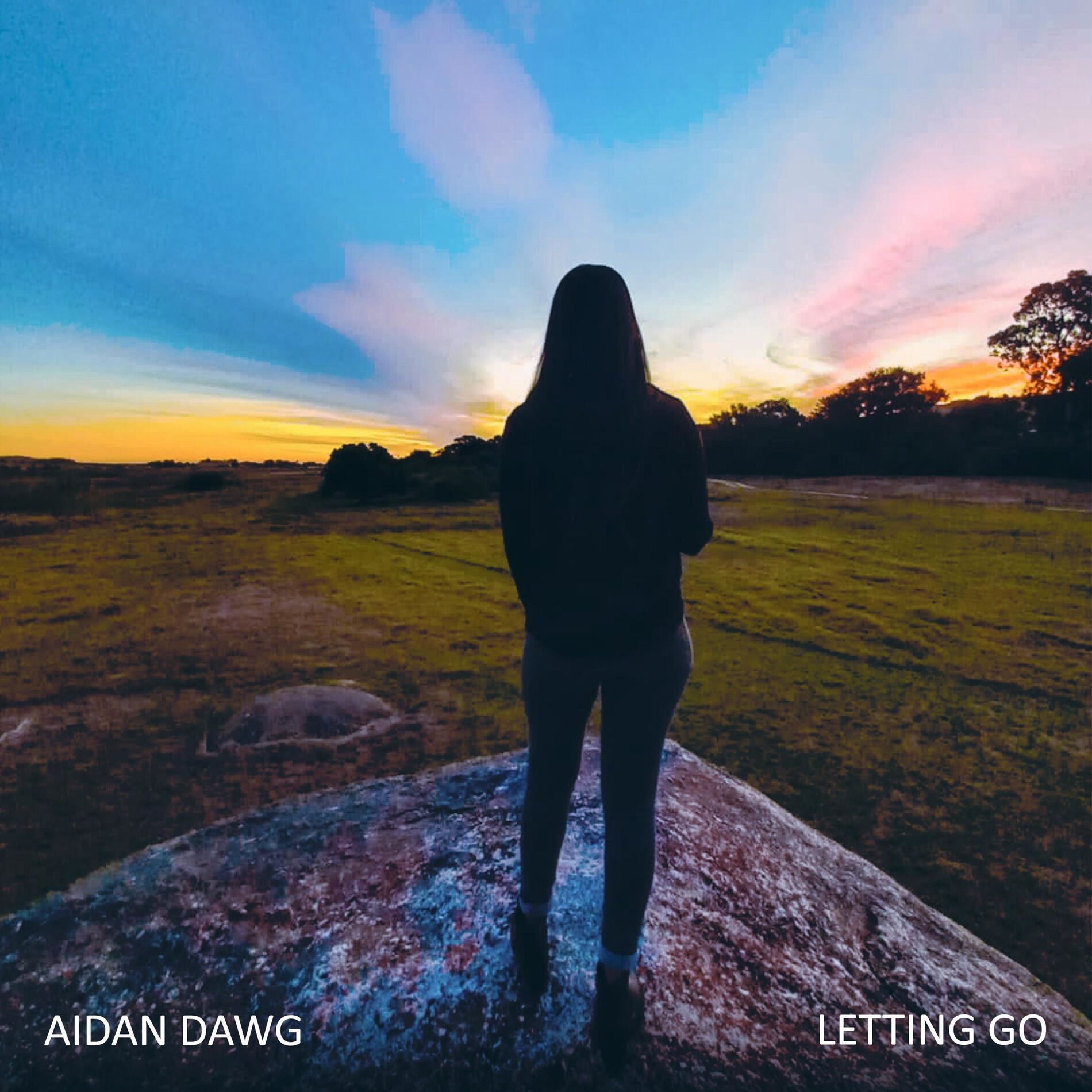 Album cover of Letting Go