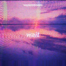 Cover of Wait