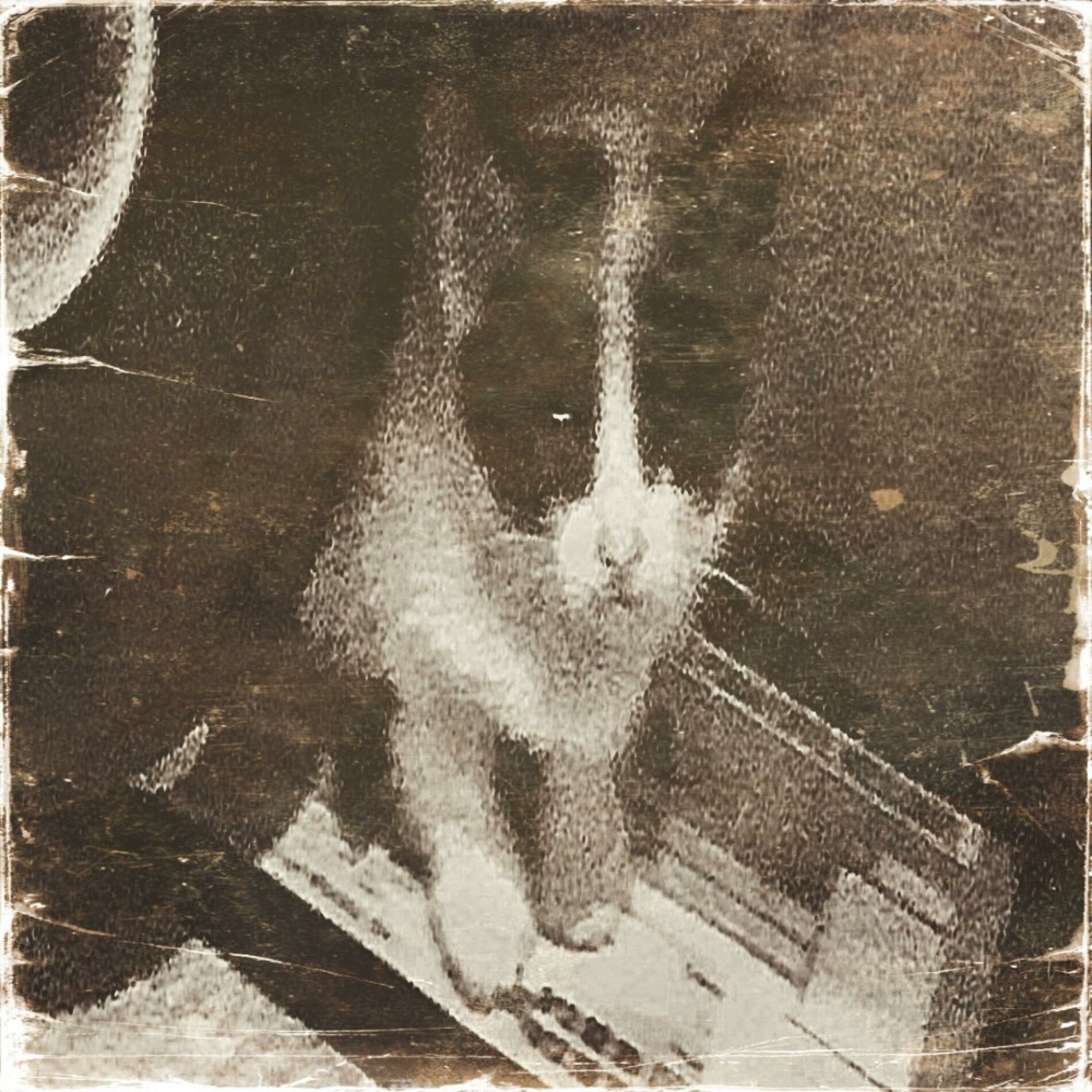 Album cover of miau