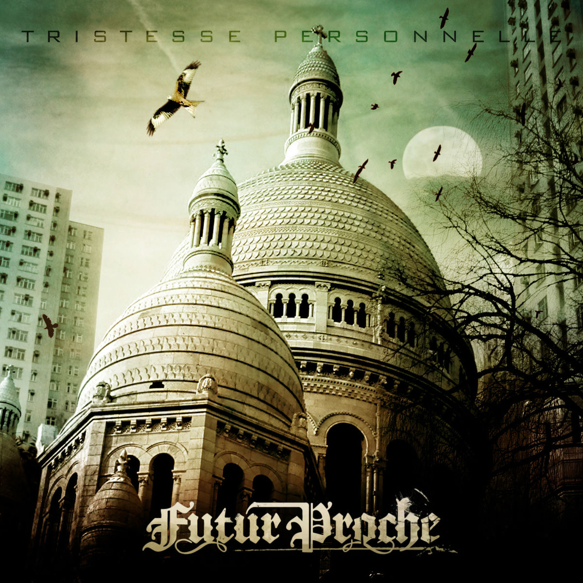 Album cover of Tristesse personnelle