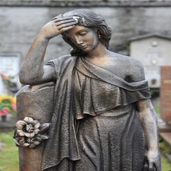 Cover of Statue