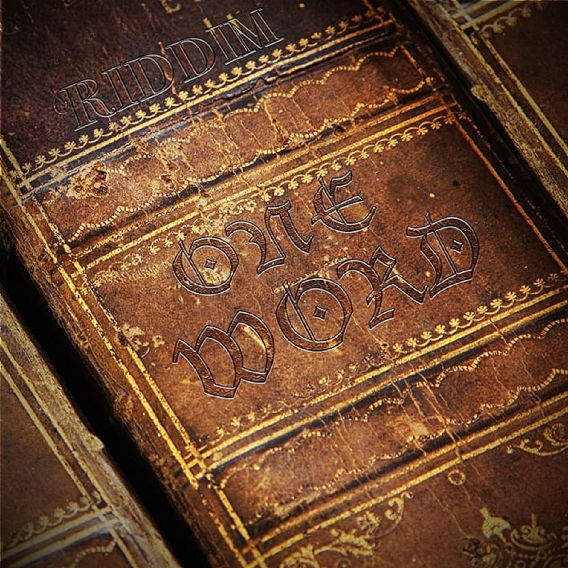 Album cover of One Word Riddim