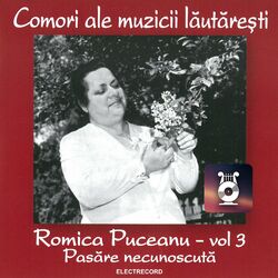 Cover of Pasăre necunoscută, Vol. 3
