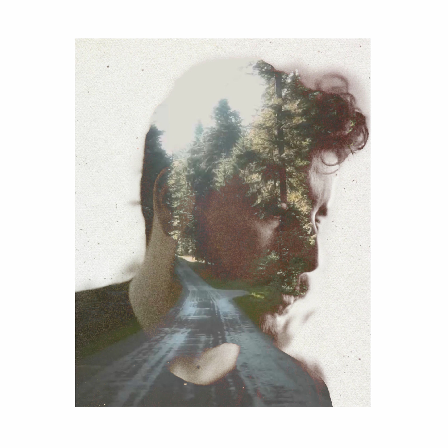 Album cover of Reinvent the Wheel