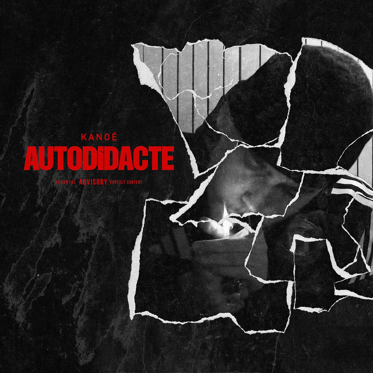 Album cover of Autodidacte