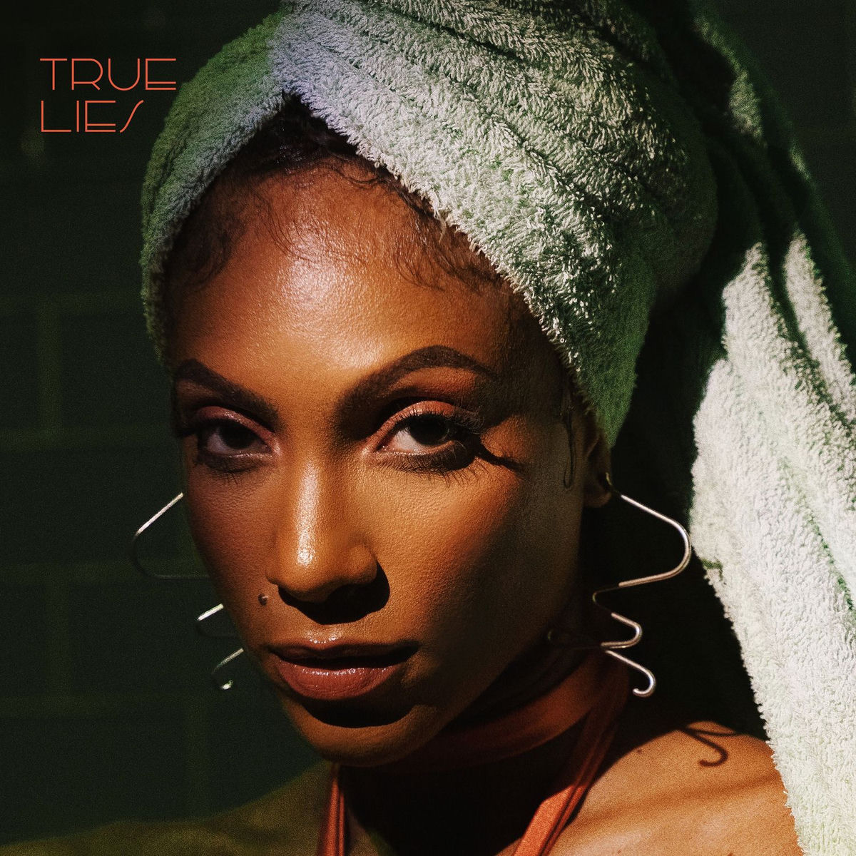 Album cover of True Lies