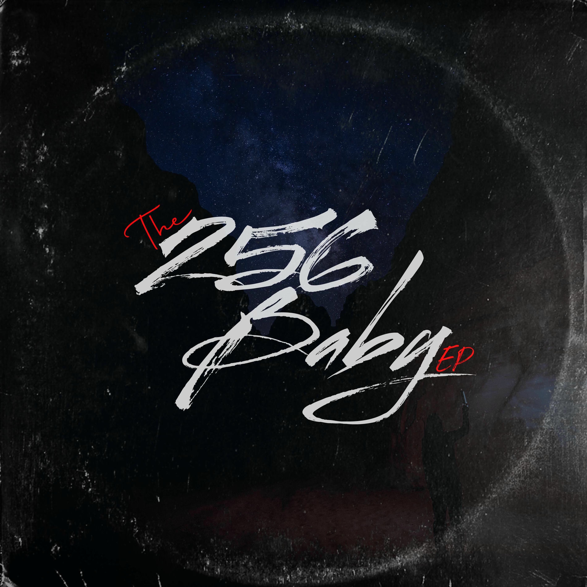 Album cover of The 256 Baby EP
