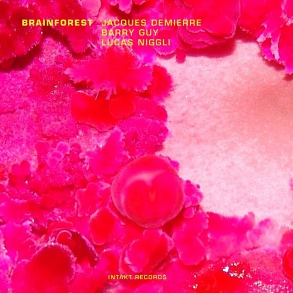 Picture of Brainforest