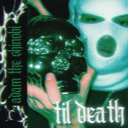 Cover of TIL DEATH
