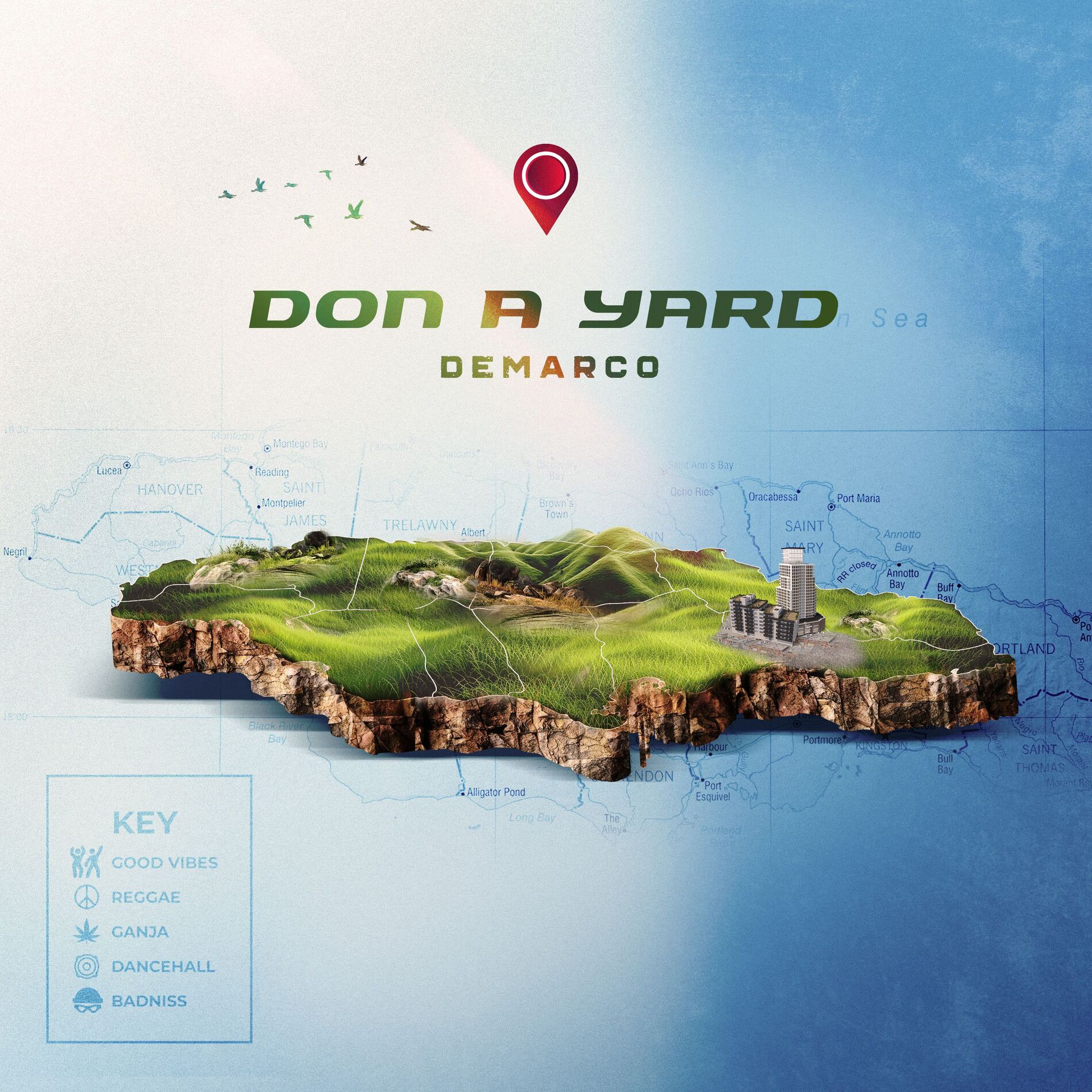 Album cover of Don a Yard