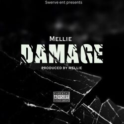 Cover of Damage